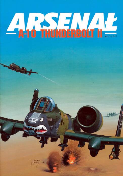 a-10_9.jpg