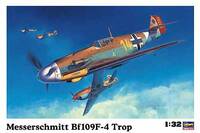 hast031.jpg