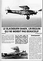 shark_l1.jpg