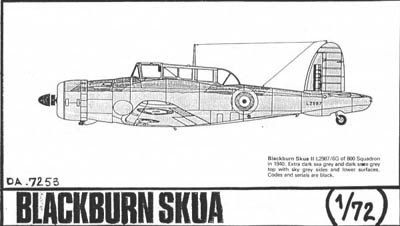 skua_172_duj_7253.jpg