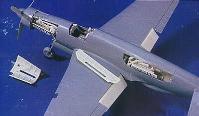 vl1629.jpg