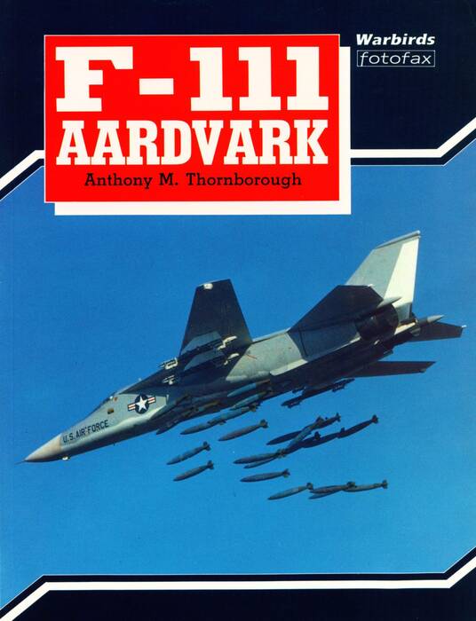 f-111_5.jpg