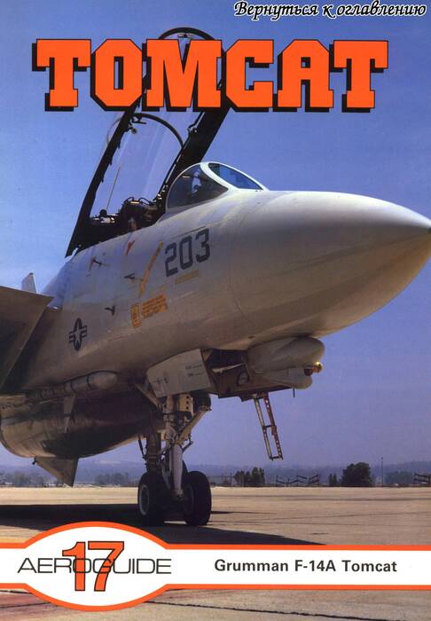 f-14_7.jpg