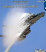 f-14_8.jpg