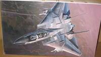 fuj-133_3389.jpg