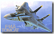 fuj1.jpg