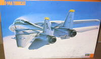has-138_3803.jpg