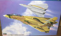 has-138_3805.jpg