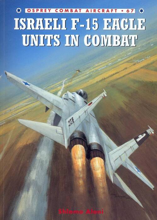 f-15_11.jpg