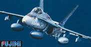 fujimi_72_fa18d_warhawks.jpg