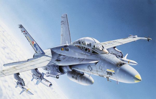 italeri_fa18cd_72.jpg