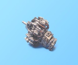 55530_0.jpg