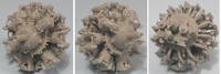 vic48007a.jpg