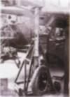 78302_0.jpg