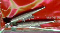 aes72099.jpg