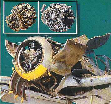 cmk4033.jpg