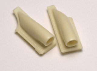 ear32055.jpg
