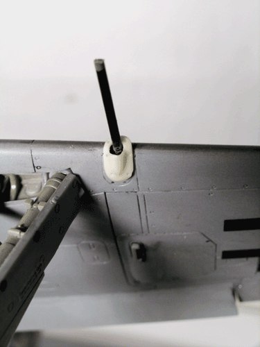 ear32056.jpg
