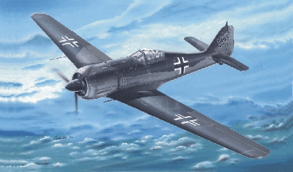fcs48008.jpg