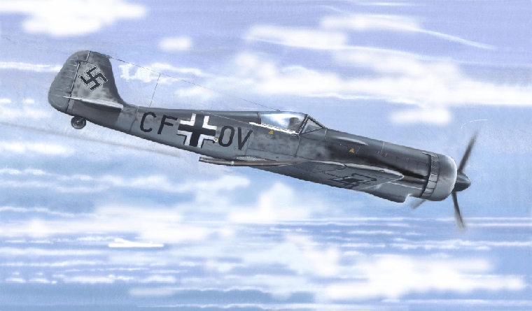 fcv48003.jpg