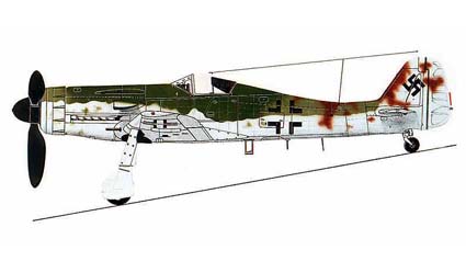 fls48005.jpg