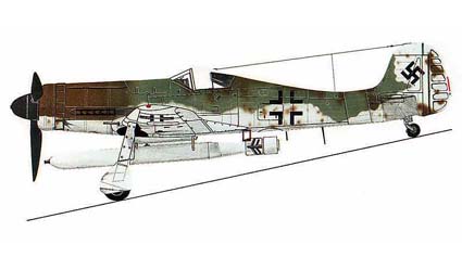 fls48007.jpg