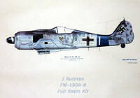 fw190a8jrutmanreviewbgbox.jpg