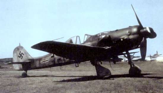 rcm_fw190d-9.jpg