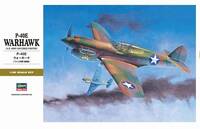 hasegawa_32_p-40e.jpg