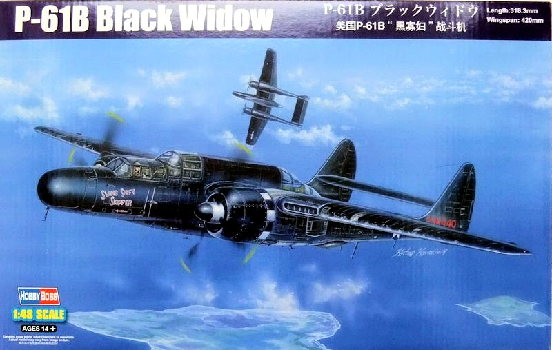 p-61_cover.jpg