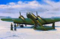 d-07.jpg