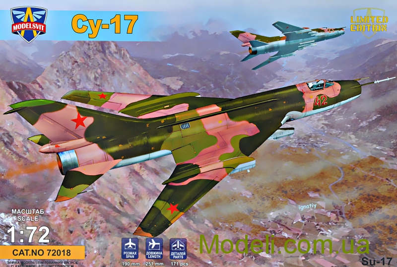 msvit72018su17.jpg