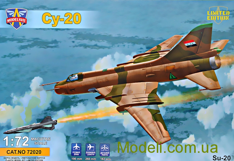 msvit72020su20.jpg