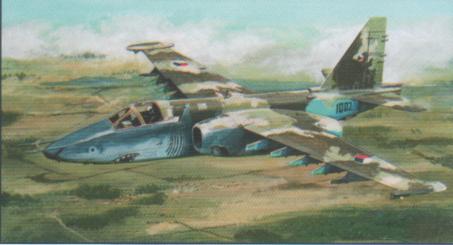 101944-11104.jpg