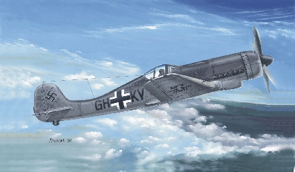 fcs48007.jpg