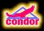 405-condor.jpg