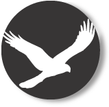 falconlogo.gif