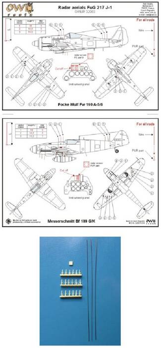 owlr3203.jpg